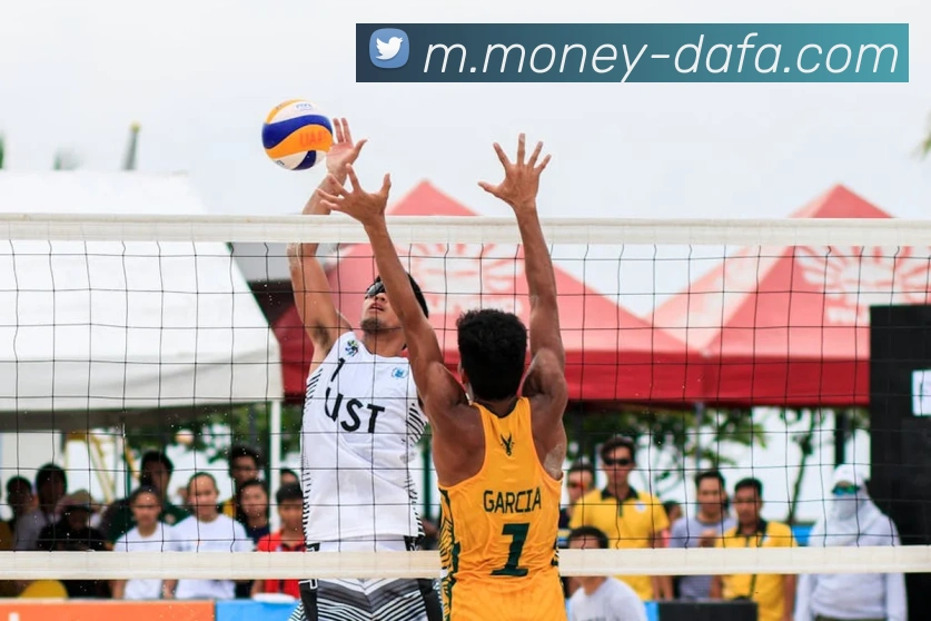 大发官网品牌故事